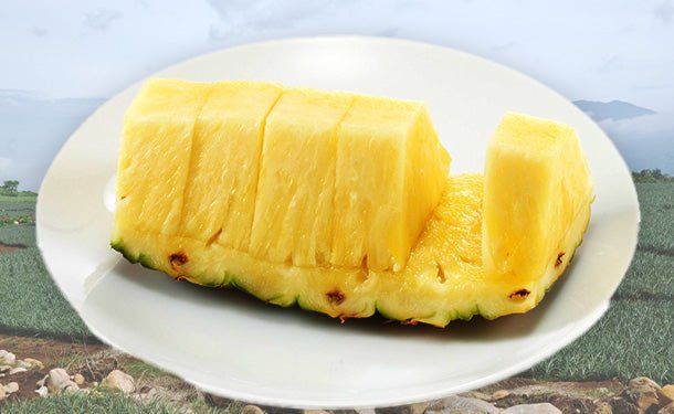 main01-2023-10-04T160418.140