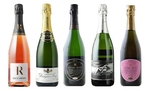 main01-2024-08-01T165920.919