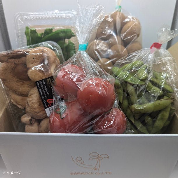 main02_-_2024-11-13T180516.095